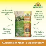 Neudorff RasenDünger für dichten, grünen Rasen