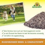 Neudorff RasenDünger für dichten, grünen Rasen