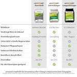 Versando 10kg Rasendünger für grünen Rasen