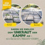 Scheidler Ökokraft Essig Unkrautvernichter 3 Liter