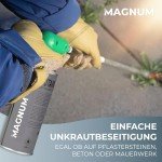 Magnum Unkrautbrenner mit 4 Gaskartuschen