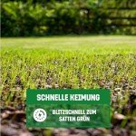 GardenGloss Schnellkeimender Rasensamen 5kg