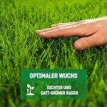 GardenGloss Schnellkeimender Rasensamen 5kg
