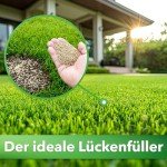 Hesa Premium Nachsaatrasen, 1 kg für 35 m²