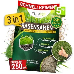 Terrauno Hochwertige Rasensamen für schnelle Nachsaat