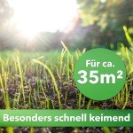 Hesa Premium Nachsaatrasen, 1 kg für 35 m²