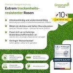 Greenato Dryland Rasensamen 1kg – Turbo-Nachsaat