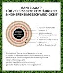 Dehner Rasen-Nachsaat, 300g für 25 m²