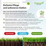 Greenato Dryland Rasensamen 1kg – Turbo-Nachsaat