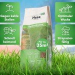 Hesa Premium Nachsaatrasen, 1 kg für 35 m²