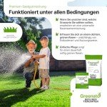 Greenato Rasennachsaat 1kg für schnellen Rasenwachstum