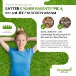 Greenato Dryland Rasensamen 1kg – Turbo-Nachsaat