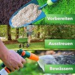 Hesa Premium Nachsaatrasen, 1 kg für 35 m²