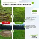 Greenato Rasennachsaat 1kg für schnellen Rasenwachstum
