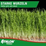 ATHLON TOOLS Schattenrasen-Samen 1kg für schnelles Wachstum