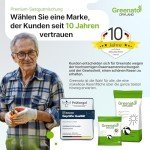 Greenato Dryland Rasensamen 1kg – Turbo-Nachsaat