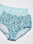Hanes Women's 10-Pack Cotton Briefs, Assorted Colors