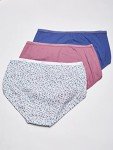 Hanes Women's 10-Pack Cotton Briefs, Assorted Colors