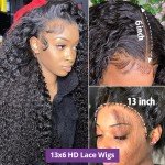 Curly Lace Front Wig for Men & Women