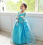 Elsa Frozen Princess Costume for Girls