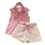 Summer Toddler Girls Sleeveless Vest and Shorts Set