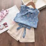 Summer Toddler Girls Sleeveless Vest and Shorts Set