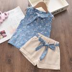 Summer Toddler Girls Sleeveless Vest and Shorts Set