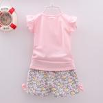 Cute Baby Girl Summer T-Shirt and Shorts Set