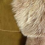 Women’s Toscana Shearling Leather 3/4 Coat