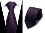 Passabin Men's Woven Jacquard Tie Set – 6 Colors