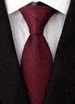 Adulove Classic Silk Neckties for Men (6-Pack)