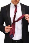 Adulove Classic Silk Neckties for Men (6-Pack)