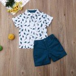 Toddler Boy Summer Shirt and Shorts Set