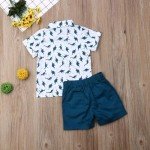 Toddler Boy Summer Shirt and Shorts Set