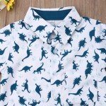 Toddler Boy Summer Shirt and Shorts Set