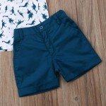 Toddler Boy Summer Shirt and Shorts Set