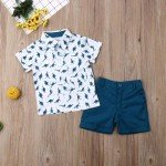 Toddler Boy Summer Shirt and Shorts Set