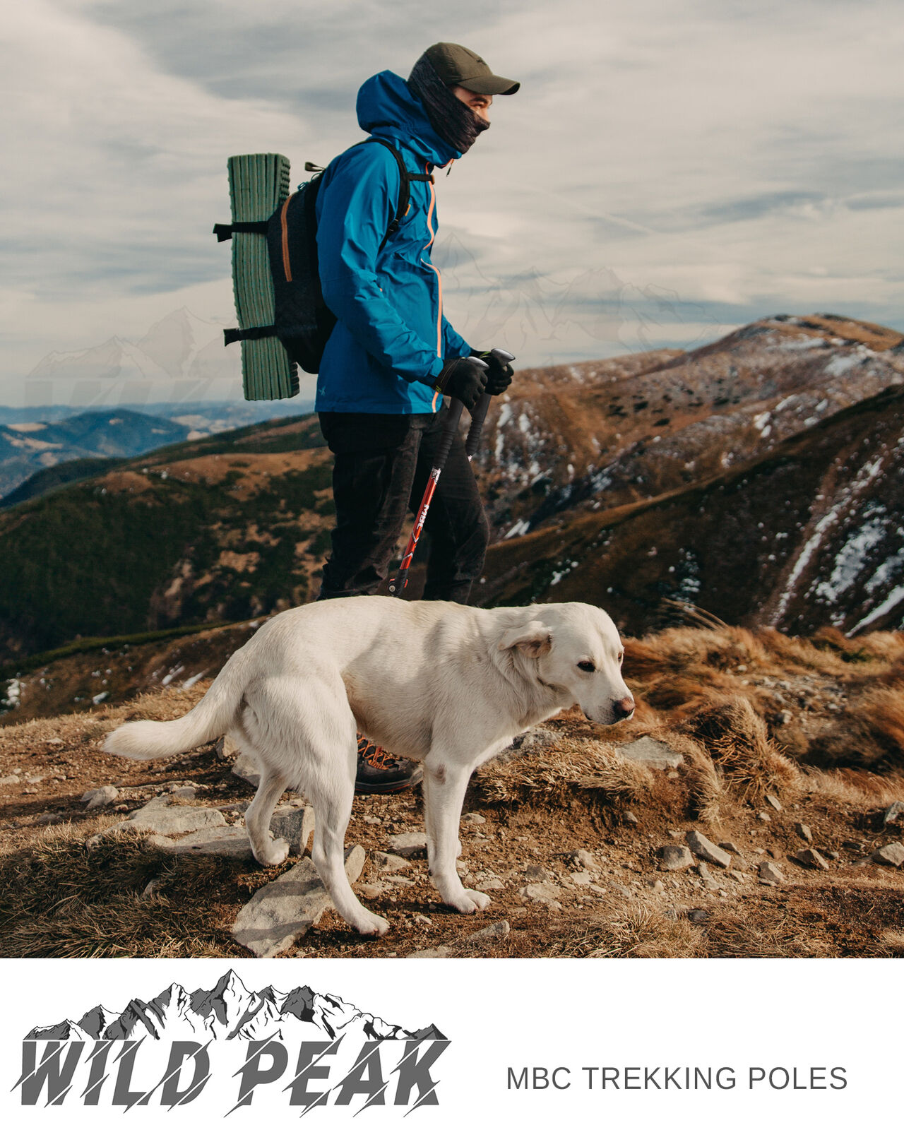 Wild Peak Aluminum Adjustable Hiking Poles (Set of 2)