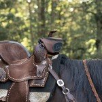 Custom Leather Saddle Bag for Hiking Adventures