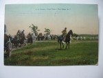 1910 era U.S. Cavalry Pack Train - Pine Camp, N.Y. Postcard