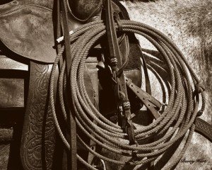 Happy Trails Art Print Poster - 11" x 14