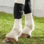 Back On Track Horse Knee Boots - Protective Support