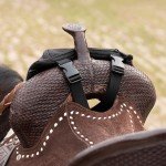 Black Horse Saddle Bag and Pommel Accessories