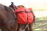 Durable Washable Saddle Panniers with Adjustable Straps