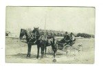 Vintage Horse Buggy Logging Camp Photo Postcard