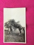 Philippines Military Camp Lipa Horse Whisperer Postcard