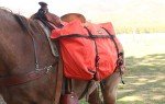 Heavy Duty Trailmax Hunting Saddle Pannier Bags