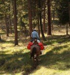 Heavy Duty Trailmax Hunting Saddle Pannier Bags