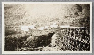 Wild Horse Camp Vintage Photo from 1920s
