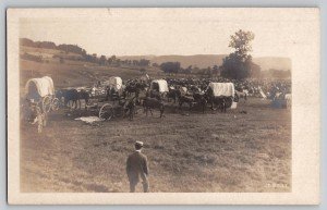 Vintage Postcard of 1900s Wagon Train Horses
